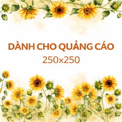 qc-250-x-250-2