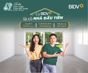 bidv-300x