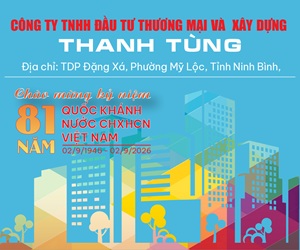 the-dung-dvtt-cong-ty-tnhh-dau-tu-thuong-mai-va-xay-dung-thanh-tung-1-ngay
