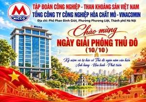 tran-anh-tuan-dvtt-tap-doan-cong-nghiep-than-khoang-san-viet-nam-tong-cong-ty-cong-nghiep-hoa-chat-mo-vinacomin