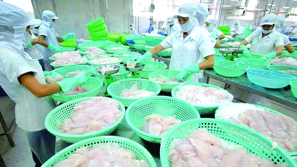 Cá tra tiếp tục là một trong những mặt hàng xuất khẩu chủ lực của thủy sản Việt Nam trong năm 2024. 	Ảnh minh họa: TL