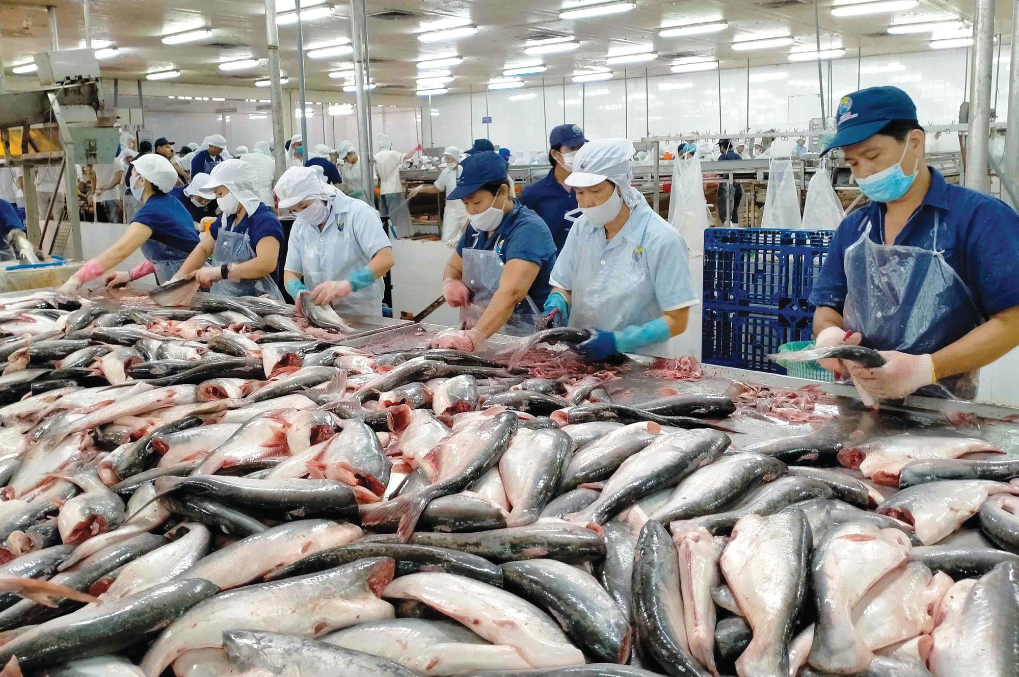 Các DN thủy sản cần quan tâm, khai thác tốt hơn thị trường nội địa - Ảnh 2.