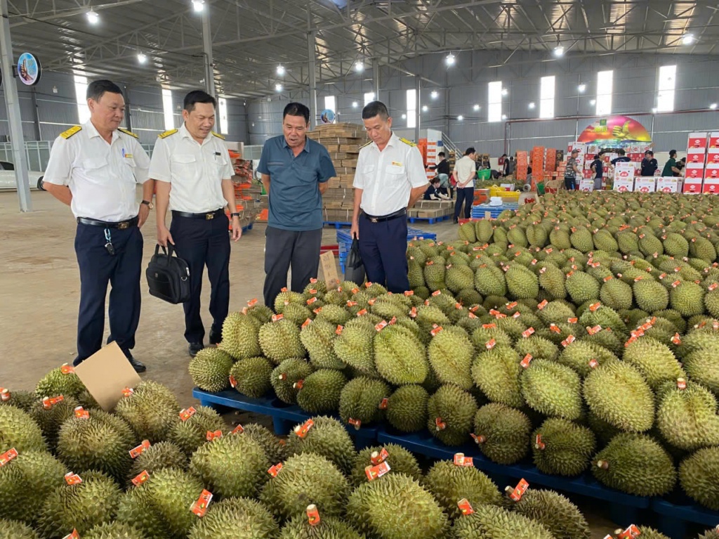 Thuế tỉnh Đắk Lắk: Tăng cường chống thất thu thuế trong kinh doanh, mua bán sầu riêng