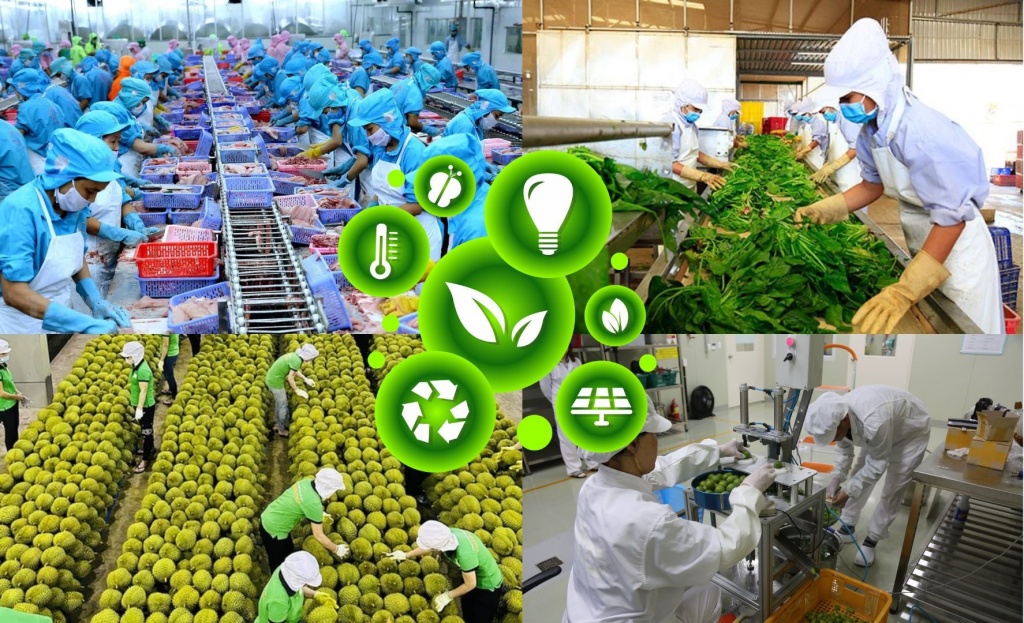 Doanh nghiệp chế biến cần thay đổi để thích nghi với tiêu chuẩn ESG