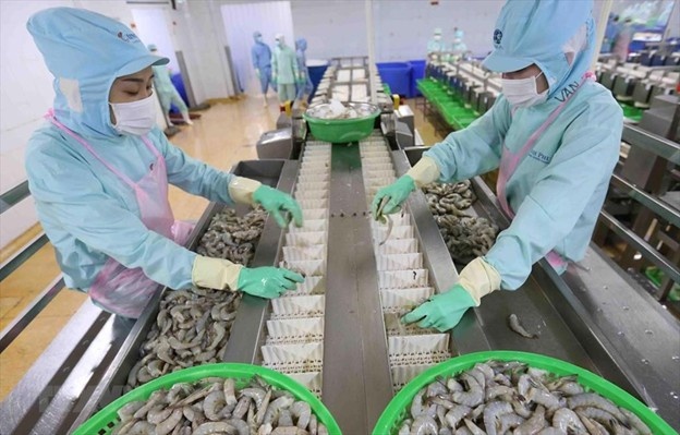 Xuất khẩu tôm tháng 10 đạt mức cao nhất từ đầu năm
