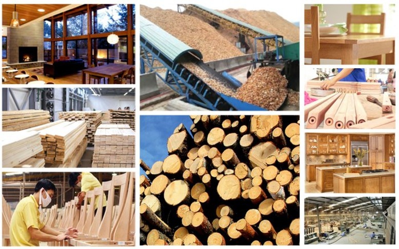 Ngành gỗ hướng tới mục tiêu xuất khẩu 25 tỷ USD vào năm 2030