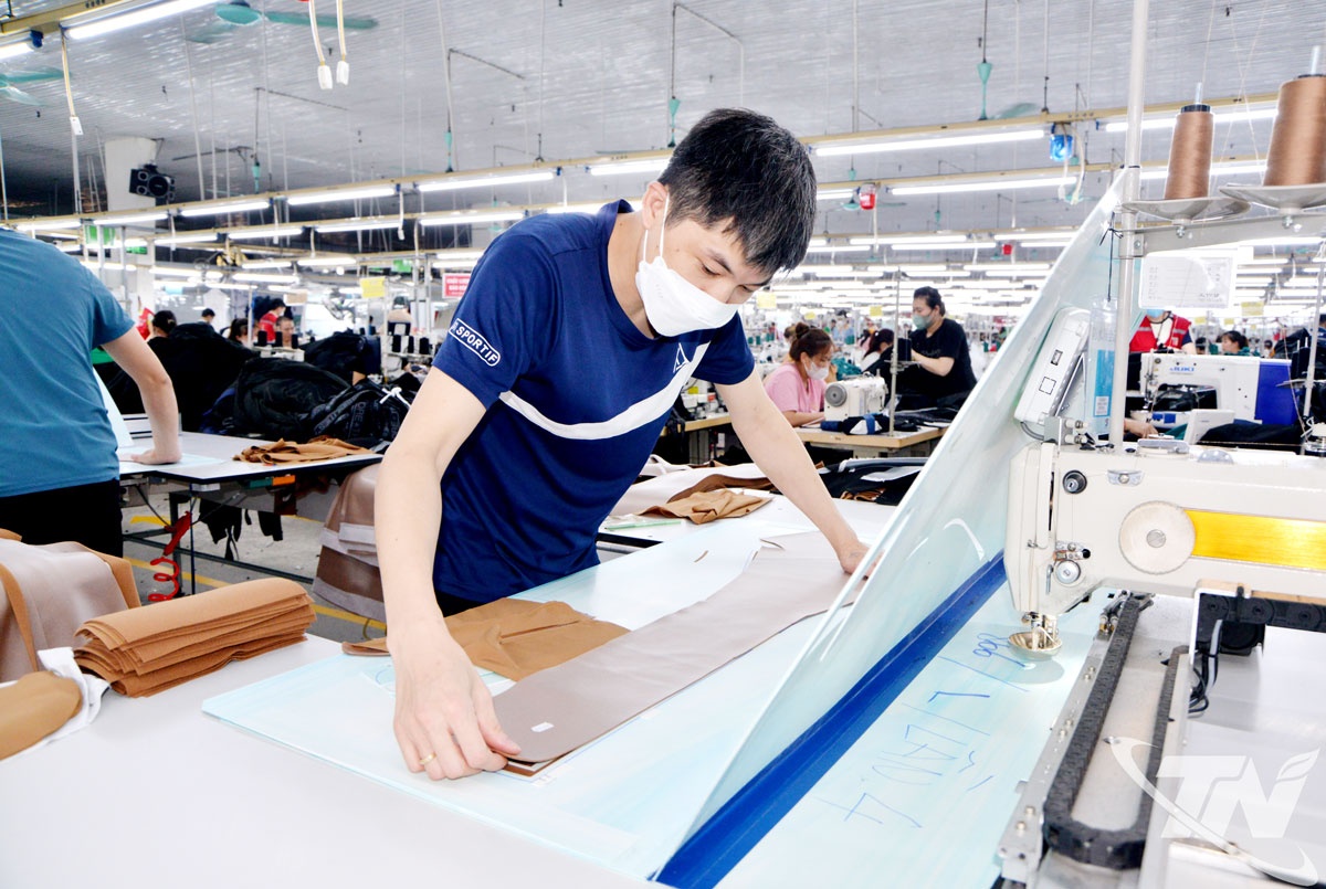 Chậm thanh toán hợp đồng, doanh nghiệp vẫn được khấu trừ thuế GTGT