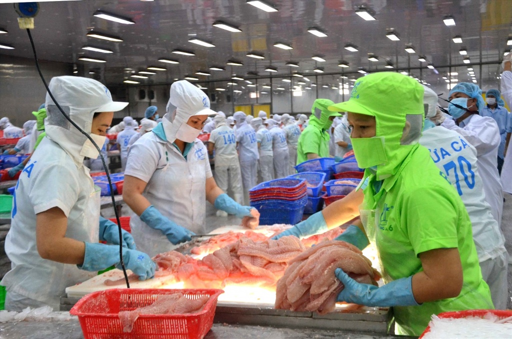 Doanh nghiệp Việt chủ động hóa giải sức ép thị trường - Bài 2 : Chiến lược kép: “Săn” thị trường mới, làm mới thị trường cũ