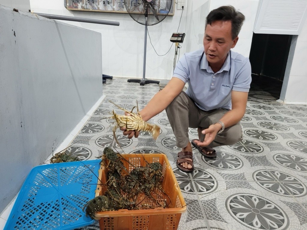 Xuất khẩu thủy sản Việt Nam tiến đến mốc 11 tỷ USD
