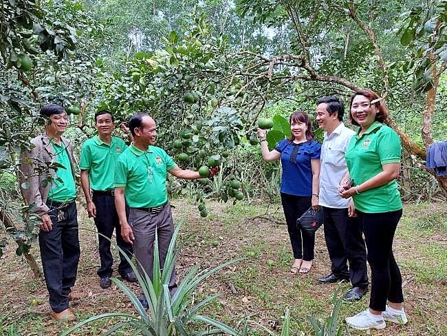 TP. Huế đổi mới sinh kế hướng tới không còn hộ nghèo vào năm 2030 TP. Huế đổi mới sinh kế hướng tới không còn hộ nghèo vào năm 2030