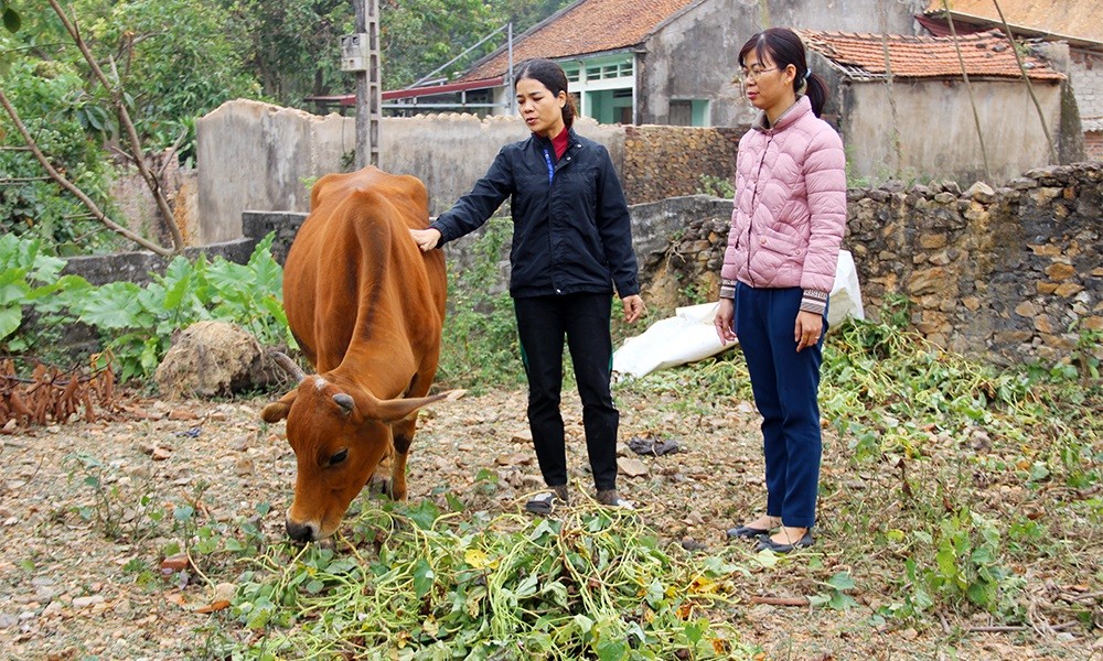 Bắc Ninh hỗ trợ người dân mở rộng sinh kế, giảm nghèo bền vững Bắc Ninh hỗ trợ người dân mở rộng sinh kế, giảm nghèo bền vững
