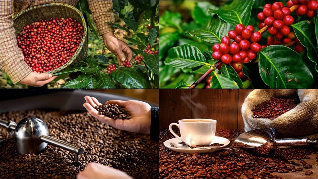 Đề xuất khôi phục ưu đãi thuế giá trị gia tăng: Doanh nghiệp nông nghiệp giảm áp lực chi phí