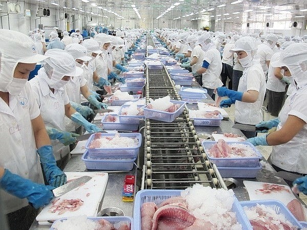 Xuất khẩu mực, bạch tuộc Việt Nam tiếp tục duy trì đà tăng mạnh trong năm 2025. 