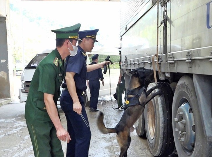 Sử dụng chó nghiệp vụ để kiểm soát các hành vi vi phạm. Ảnh: H.N