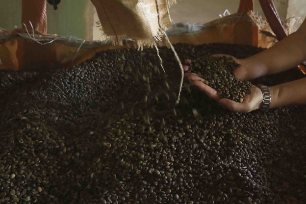 Cà phê, rau quả và hạt công nghiệp đóng vai trò dẫn dắt thị trường xuất khẩu.