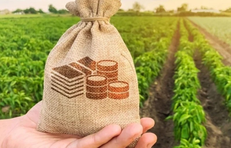 Chính sách thuế trong lĩnh vực nông nghiệp ở Việt Nam