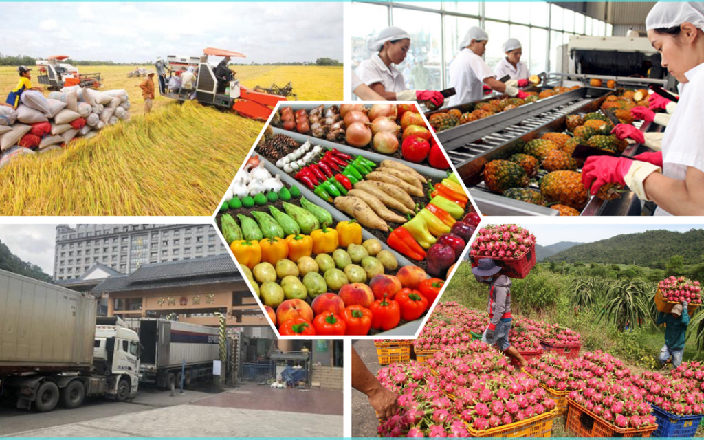 Kim ngạch xuất khẩu nông, lâm, thủy sản của Việt Nam sau 11 tháng năm 2025 đã đạt 64,01 tỷ USD, vượt kỷ lục cả năm 2024.
