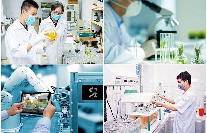 Chính sách tài chính thúc đẩy nghiên cứu và phát triển, đổi mới sáng tạo của một số quốc gia châu Á
