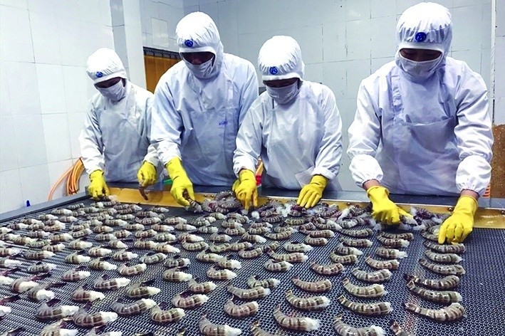 Xuất khẩu thủy sản Việt Nam năm 2025 được dự báo lập kỷ lục mới.