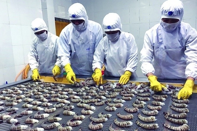 Doanh nghiệp xuất khẩu cẩn trọng với rủi ro kháng sinh và truy xuất nguồn gốc