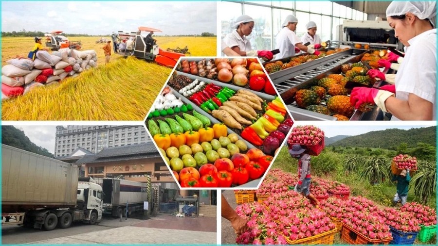 Hoàn thiện khuôn khổ pháp lý thuế giá trị gia tăng sau khi Luật sửa đổi được thông qua