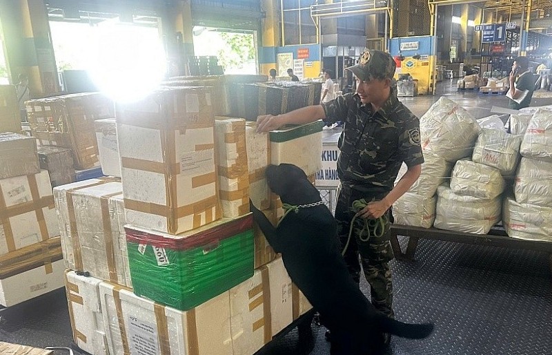 Hải quan khu vực I kiểm soát chặt buôn lậu dịp Tết