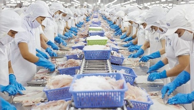 Cuối năm, xuất khẩu cá tra phục hồi mạnh