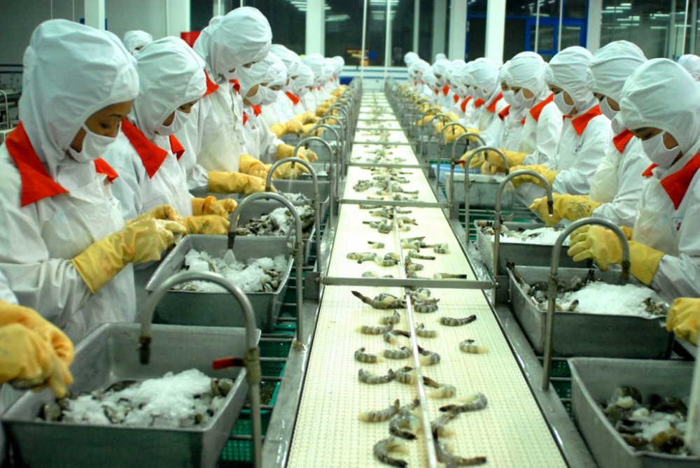 Thủy sản Việt Nam đang tiếp tục khẳng định vị thế tại thị trường Nhật Bản. Ảnh ST