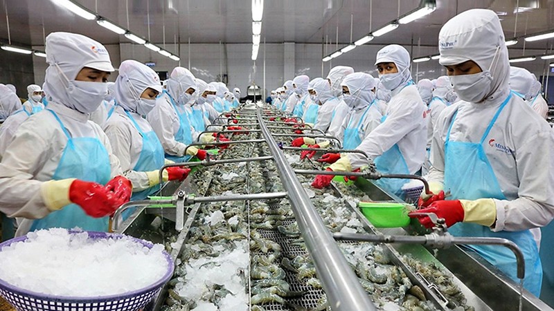 Xuất khẩu tôm Việt Nam hướng tới kỷ lục mới sau 11 tháng năm 2025.