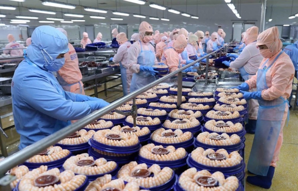 Giá trị kim ngạch xuất khẩu thủy sản năm 2025 ước đạt trên 11 tỷ USD. Ảnh minh họa