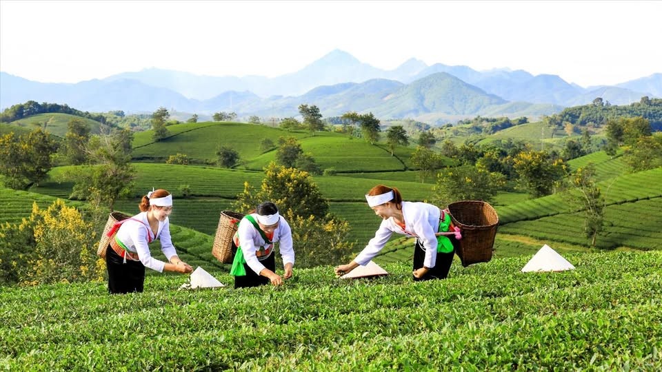 Sửa đổi quy định quản lý kinh phí sự nghiệp thực hiện các chương trình mục tiêu quốc gia Sửa đổi quy định quản lý kinh phí sự nghiệp thực hiện các chương trình mục tiêu quốc gia