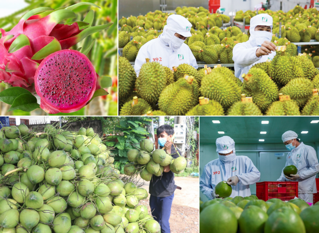 Xuất khẩu rau quả sang Thái Lan giảm sâu kỷ lục  sau 11 tháng.