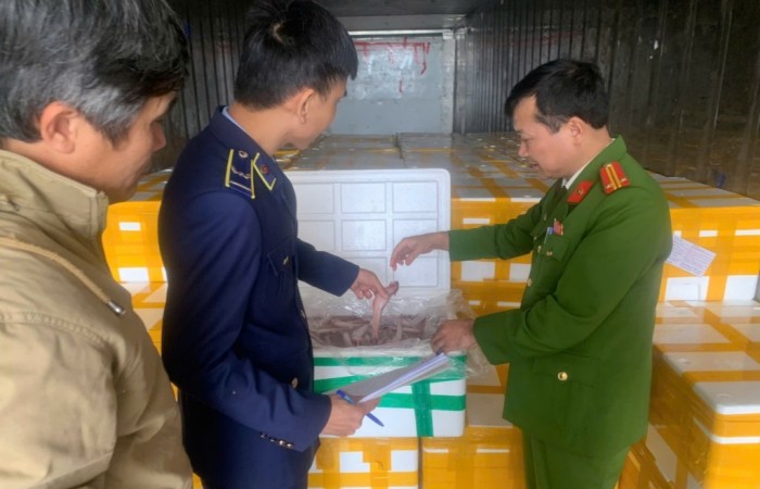 Chuyển Công an vụ vận chuyển trái phép hơn 10 tấn cá khoai chứa chất cấm