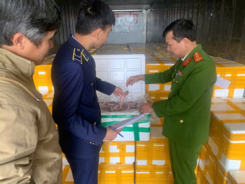 Chuyển Công an vụ vận chuyển trái phép hơn 10 tấn cá khoai chứa chất cấm