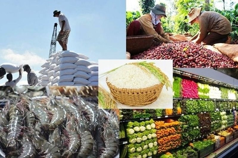xuất khẩu nông, lâm, thủy sản Việt Nam khi kim ngạch lập kỷ lục mới, tiệm cận 70 tỷ USD