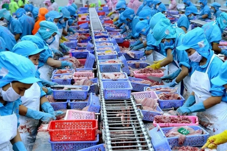 Tháo gỡ rào cản thủ tục chuyên ngành, khơi thông xuất khẩu hải sản khai thác