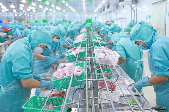 Xuất khẩu thủy sản về đích kỷ lục với hơn 11 tỷ USD