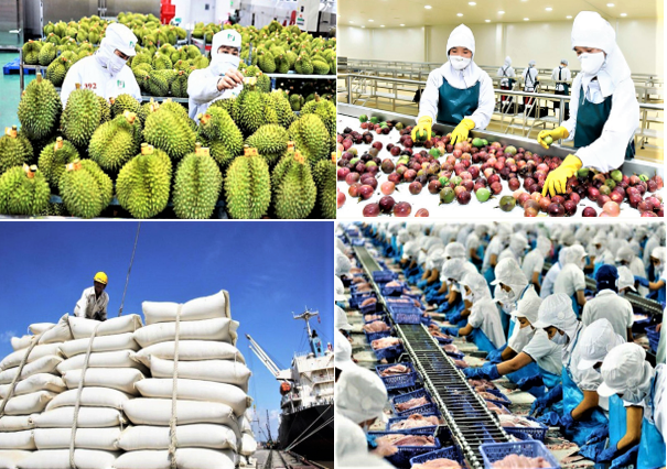 Ngành Nông nghiệp và Môi trường năm 2025: Hoàn thành mục tiêu, tạo đà bứt phá Ngành Nông nghiệp và Môi trường năm 2025: Hoàn thành mục tiêu, tạo đà bứt phá