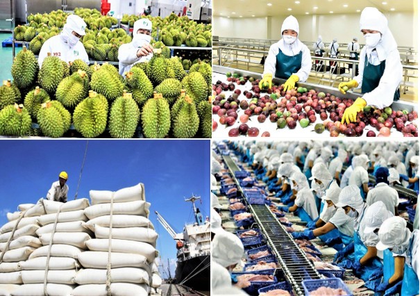Ngành Nông nghiệp và Môi trường năm 2025: Hoàn thành mục tiêu, tạo đà bứt phá
