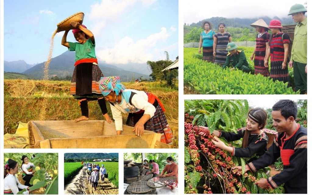 Hoàn thiện cơ chế quản lý, tổ chức thực hiện các Chương trình Mục tiêu quốc gia Hoàn thiện cơ chế quản lý, tổ chức thực hiện các Chương trình Mục tiêu quốc gia