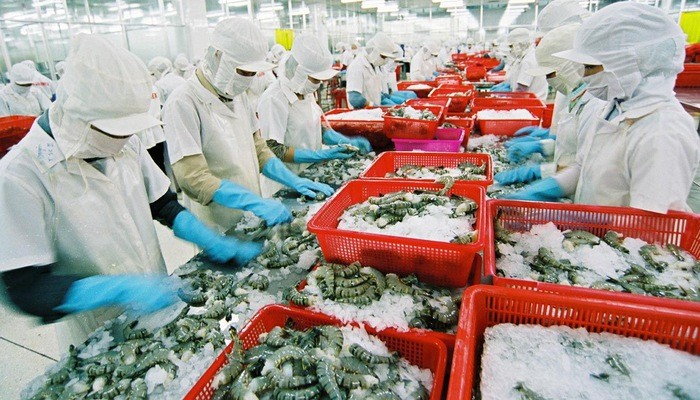 Từ 1/1/2026: Mua bán nông, lâm, thủy sản chưa chế biến giữa doanh nghiệp không phải kê khai, nộp thuế GTGT