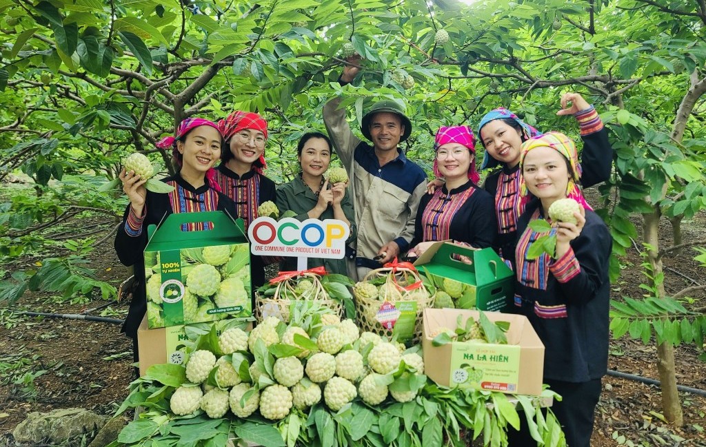 Tạo động lực mới cho kinh tế tập thể trong giai đoạn tới