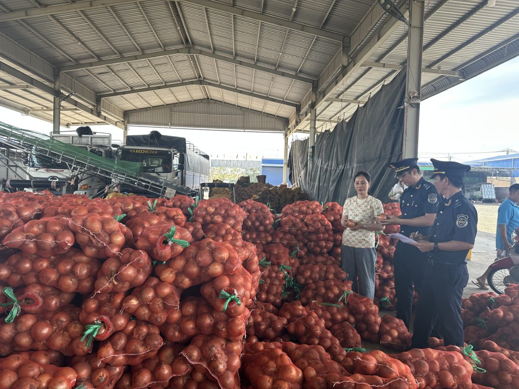 Hiệu quả từ công tác tạo thuận lợi và kiểm soát địa bàn của Hải quan Khánh Bình