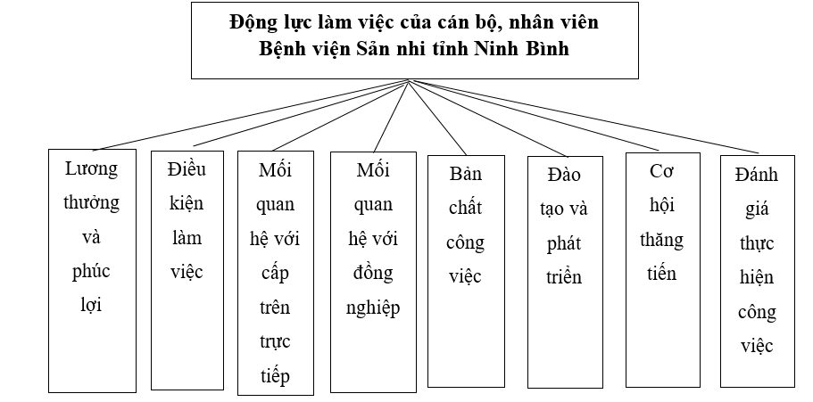 Các yếu tố ảnh hưởng đến động lực làm việc của cán bộ, viên chức tại Bệnh viện Sản Nhi tỉnh Ninh Bình