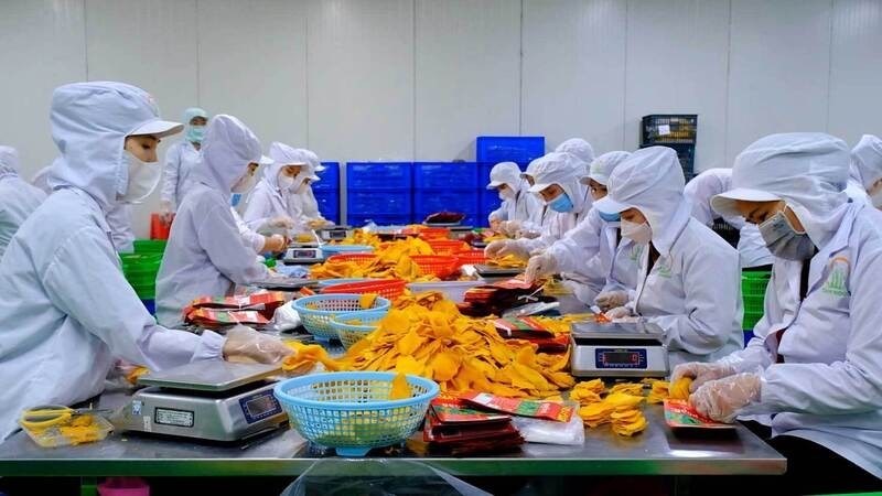 Cơ cấu xuất nhập khẩu hàng hóa giữa hai nước Việt Nam - Israel mang tính bổ trợ, không cạnh tranh nhau. Ảnh: Nguyễn Hằng