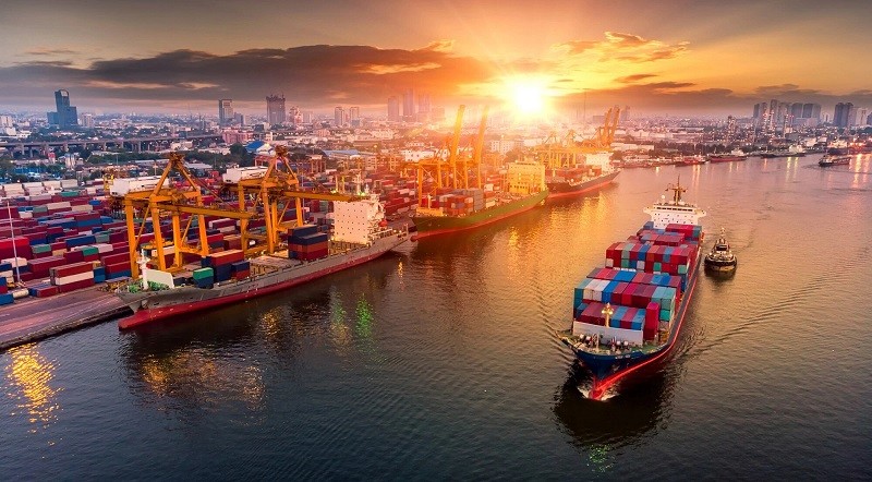 kim ngạch xuất khẩu hàng hóa từ Việt Nam sang Hà Lan năm 2025 đạt 13,5 tỷ USD, tăng 3,7% so với năm trước.