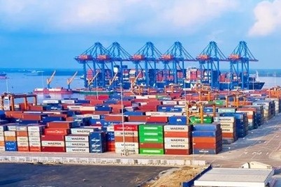 Dữ liệu thống kê xuất khẩu hàng hóa tháng 6/2026