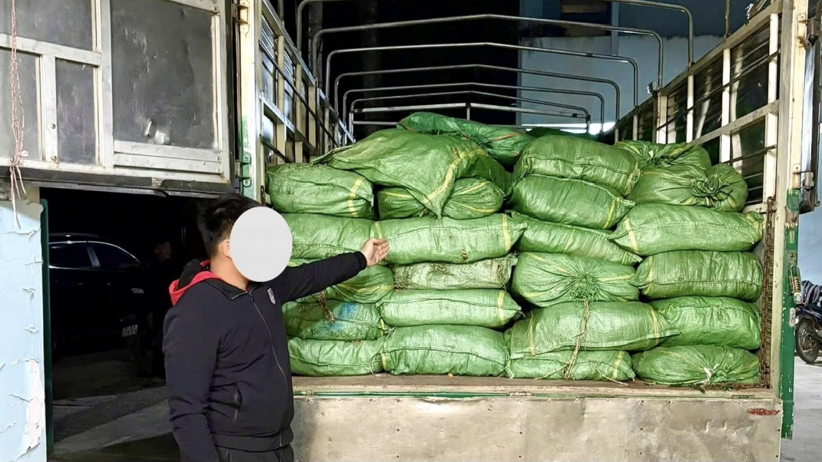 Cao Bằng: Hải quan chủ trì bắt giữ vụ vận chuyển số lượng lớn lá thuốc lá