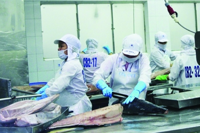 Doanh nghiệp Việt cần nâng chuẩn đón “cơ hội vàng” từ thị trường EU