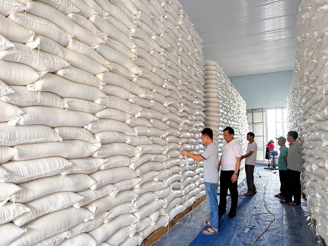 Phấn đấu hoàn thành xuất cấp gạo dự trữ quốc gia hỗ trợ Nhân dân trước ngày 26 Tết Phấn đấu hoàn thành xuất cấp gạo dự trữ quốc gia hỗ trợ Nhân dân trước ngày 26 Tết